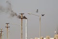 Horizontal shot of birds flying next to factory chimney smoke