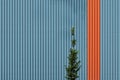 Horizontal shot of a blue metallic wall with a red stripe and a green tree in front Royalty Free Stock Photo