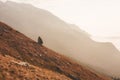 Horizontal shot of brown mountains and an isolated fir tree covered in fog Royalty Free Stock Photo