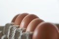 Eggs close up in protective container on white background. Foreground and background in blur. Focus in the center Royalty Free Stock Photo