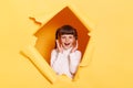 Horizontal shot of excited little girl with braids wearing casual shirt looking through torn hole in yellow paper, screaming with Royalty Free Stock Photo