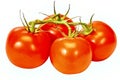 Four Tomatoes On A Vine REVISED Royalty Free Stock Photo