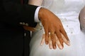 Horizontal shot of hands of a newlywed couple with wedding rings on