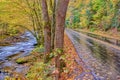 Rainy Autumn Day in the Smokies