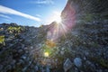 Horizontal shot of lovely walking trails in Jokulsargljufur, Iceland at sunrise