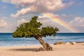 Horizontal shot of the mesmerizing view of the beach and sea, with a tree under the rainbow Royalty Free Stock Photo
