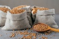 Horizontal shot of roasted buckwheat in sacks and spoon. Gluten free grains. Harvested uncooked cereals. Natural vegan food