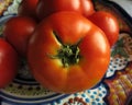 Horizontal shot of tomato resembling womans breast