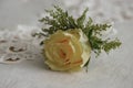 Fresh yellow rose small bouquet for buttonhole, or boutonniere Royalty Free Stock Photo