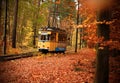 Horizontal shot of a tram track covered with colorful fall leaves and a yellow tram in Berlin
