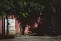 Horizontal shot of a tree with green pinnate leaves near a red wall and a grey metallic door Royalty Free Stock Photo