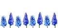 Horizontal  spring flower watercolor border. seamless. blue flowers. spring time Royalty Free Stock Photo