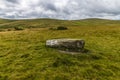 A horizontal standing stone at Waun Mawn source of the stones for Stonehenge in the Preseli hills in Pembrokeshire, Wales