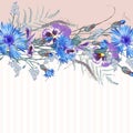 Horizontal striped pattern with blue wild flowers, leaves, bud and herbs. Royalty Free Stock Photo