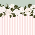 Horizontal striped pattern with white rose, peony, leaves and bud. Royalty Free Stock Photo