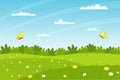 Horizontal summer landscape. A field of flowers, glade with daisies, bushes, butterflies flying. Clear weather. Color vector