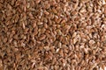 texture and brown flax-seed background. Royalty Free Stock Photo