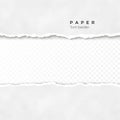 Horizontal torn paper edge. Paper texture. Rough broken border of paper stripe. Vector illustration