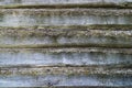 Horizontal Tree texture.Old log wall.Shabby Wall of old boards.Old ramshackle tree texture. Royalty Free Stock Photo