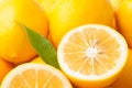 Meyer Lemon Closeup Horizontal Royalty Free Stock Photo