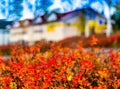 Horizontal vibrant autumn house blur abstraction