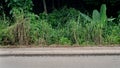 Horizontal view of an asphalt road in Thailand. Royalty Free Stock Photo