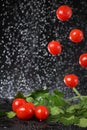 Horizontal view of cherry tomato close up under the water drops in a black background. Royalty Free Stock Photo