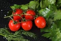 Horizontal view of cherry tomato close up under the water drops in a black background. Royalty Free Stock Photo