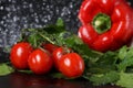 Horizontal view of cherry tomato , greenery , red paprika and white garlic close up under the water drops in a black background. Royalty Free Stock Photo