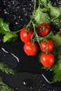 Horizontal view of cherry tomato close up under the water drops in a black background. Royalty Free Stock Photo