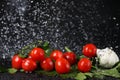 Horizontal view of cherry tomato close up under the water drops in a black background. Royalty Free Stock Photo