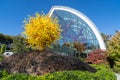 Horizontal view of Chihuly Garden and Glass. An art museum and sculpture garden showcasing Dale Royalty Free Stock Photo