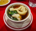 Horizontal view of a Chinese classic, Wonton Soup. A broth with a meat filled wonton in it