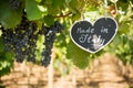 Horizontal View of Close Up of Blackboard with the sentence Made in Italy in Blurred Plantation of Black Wine Grapes at Midday in Royalty Free Stock Photo