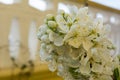 Horizontal View of Close Up of White Flowers od Plum Tree in Spring on Blur Background. Taranto, South of Italy Royalty Free Stock Photo