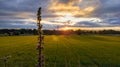 Horizontal view of dramatic puffy clouds over a green field at sunset Royalty Free Stock Photo