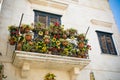 Horizontal View of Flowered Balcony. Matera, South Of Italy