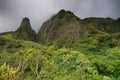 Horizontal view of the Iao Needle Royalty Free Stock Photo