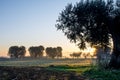 Horizontal View of an Italian Countryside Landscape at Sunrise W Royalty Free Stock Photo