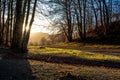 Horizontal View of the Landscape With the Sun Trough the Trees i Royalty Free Stock Photo