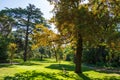 Horizontal view of a park with bench, grass and trees, a sunny autumn morning