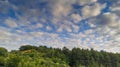 Horizontal view of puffy clouds over a green forest Royalty Free Stock Photo