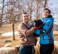 Shepherd holding a lamb with a flock of sheep standing in the foreground in a gated pasture Royalty Free Stock Photo