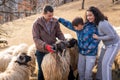 Shepherd holding a lamb with a flock of sheep standing in the foreground in a gated pasture Royalty Free Stock Photo