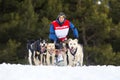 Horizontal view of sled dog race on snow Royalty Free Stock Photo