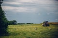 Horizontal view of a tractor in a field and some storks on the grass ground under the blue sky Royalty Free Stock Photo