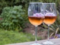 Horizontal view of two glasses of rosÃÂ© wine with floating pink flowers