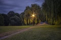 Horizontal View of the Upper Onondaga Park Footbridge after Sunset