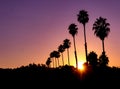 horizontal view of a vivid sunset with sunburst and silhouette of palm trees Royalty Free Stock Photo