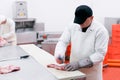 A worker in meat factory, chopped a fresh beef meat on work table, industry of a processing and production food Royalty Free Stock Photo